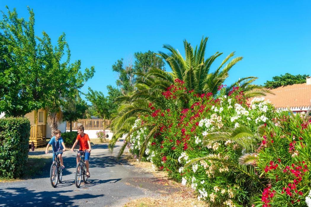 Mobil Climatisé Novella * Port-la-Nouvelle